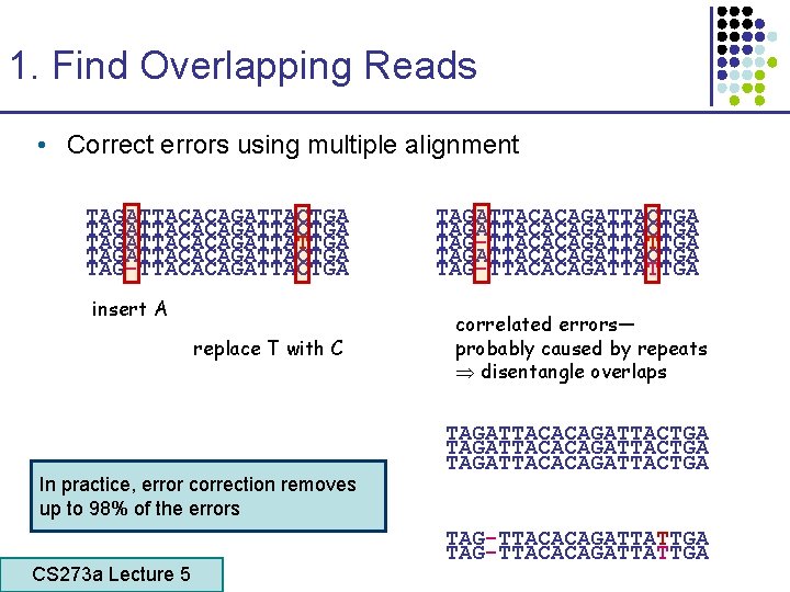 1. Find Overlapping Reads • Correct errors using multiple alignment TAGATTACACAGATTACTGA TAGATTACACAGATTATTGA TAGATTACACAGATTACTGA TAG-TTACACAGATTACTGA