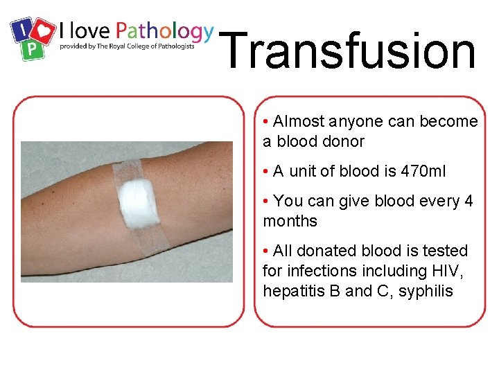 Transfusion • Almost anyone can become a blood donor • A unit of blood