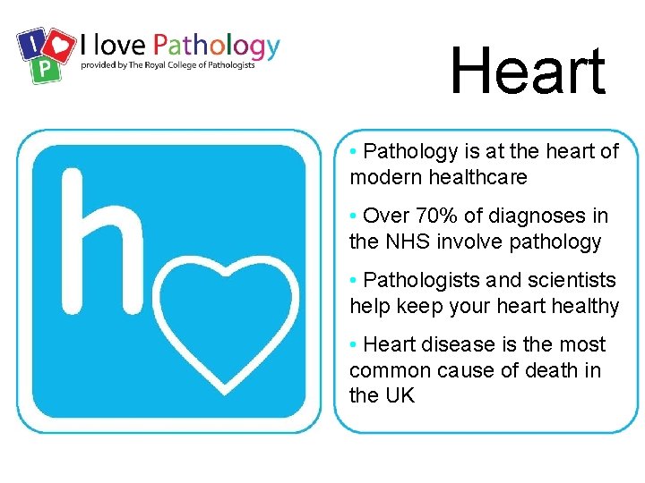 Heart • Pathology is at the heart of modern healthcare • Over 70% of