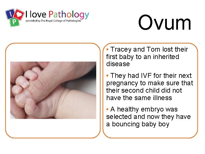 Ovum • Tracey and Tom lost their first baby to an inherited disease •