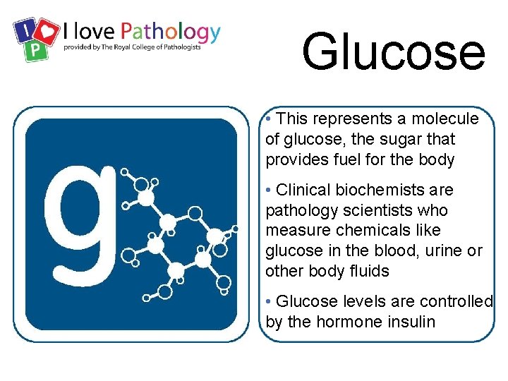 Glucose • This represents a molecule of glucose, the sugar that provides fuel for