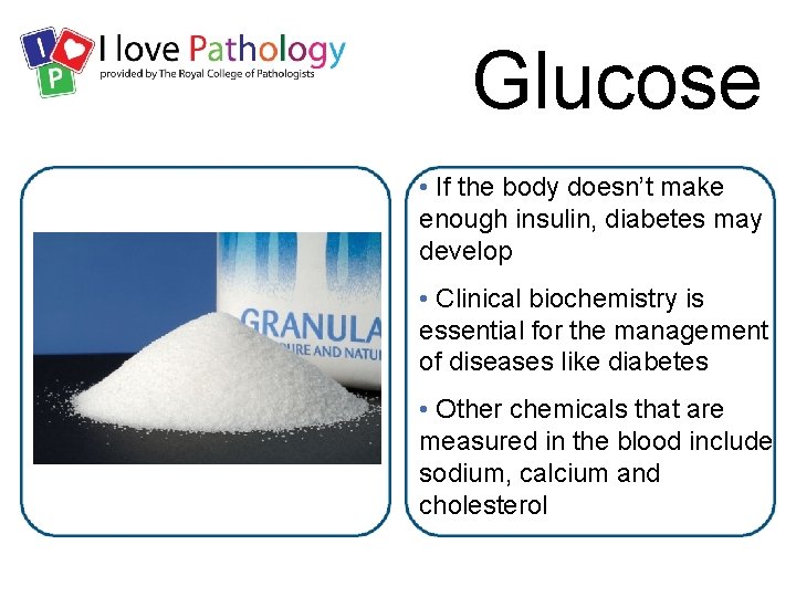 Glucose • If the body doesn’t make enough insulin, diabetes may develop • Clinical