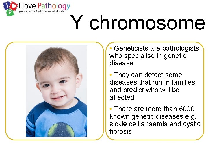Y chromosome • Geneticists are pathologists who specialise in genetic disease • They can