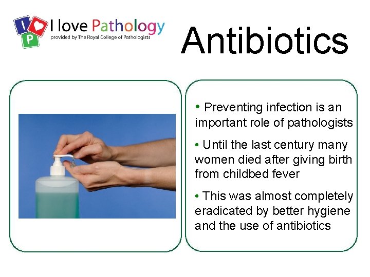 Antibiotics • Preventing infection is an important role of pathologists • Until the last