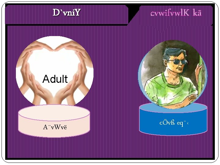 D`vni. Y cvwifvwl. K kã Adult A¨v. Wvë cÖvß eq¯‹ 