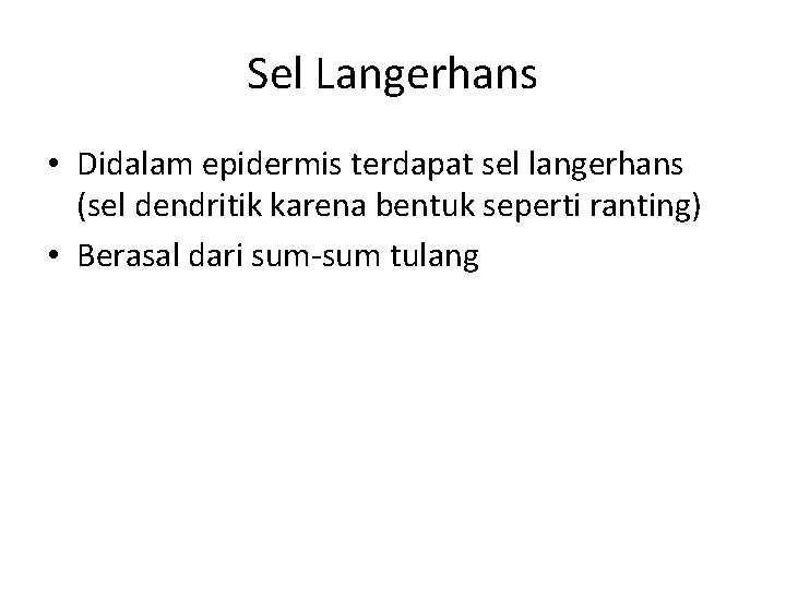 Sel Langerhans • Didalam epidermis terdapat sel langerhans (sel dendritik karena bentuk seperti ranting)