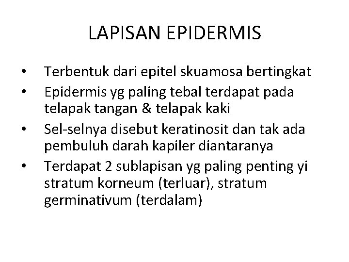 LAPISAN EPIDERMIS • • Terbentuk dari epitel skuamosa bertingkat Epidermis yg paling tebal terdapat