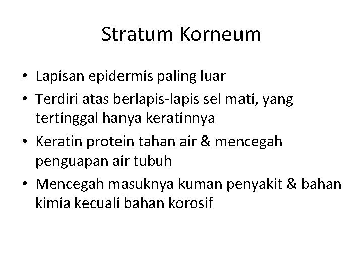 Stratum Korneum • Lapisan epidermis paling luar • Terdiri atas berlapis-lapis sel mati, yang