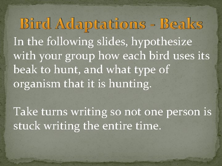 Bird Adaptations - Beaks In the following slides, hypothesize with your group how each