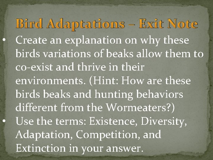 Bird Adaptations – Exit Note • Create an explanation on why these birds variations
