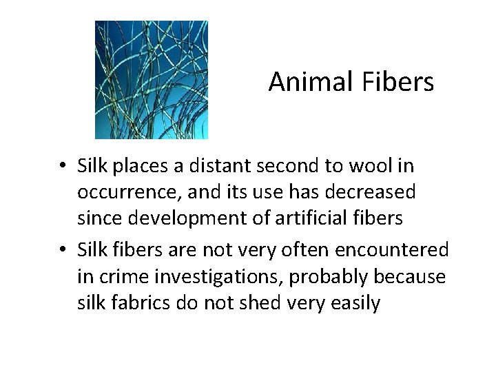 Animal Fibers • Silk places a distant second to wool in occurrence, and its