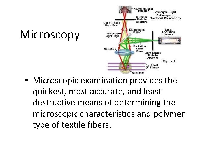 Microscopy • Microscopic examination provides the quickest, most accurate, and least destructive means of