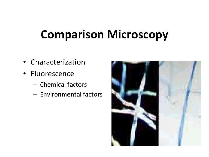 Comparison Microscopy • Characterization • Fluorescence – Chemical factors – Environmental factors 