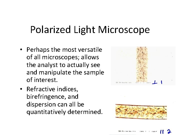 Polarized Light Microscope • Perhaps the most versatile of all microscopes; allows the analyst