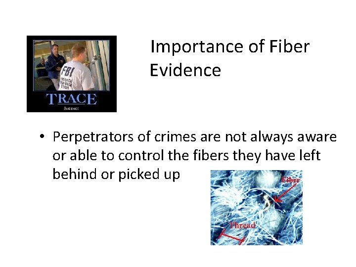 Importance of Fiber Evidence • Perpetrators of crimes are not always aware or able