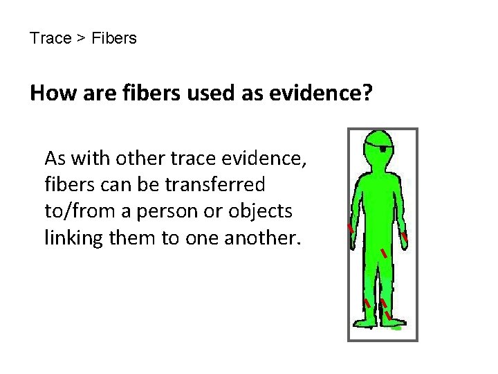 Trace > Fibers How are fibers used as evidence? As with other trace evidence,