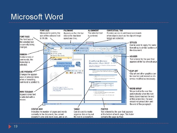 Microsoft Word 19 