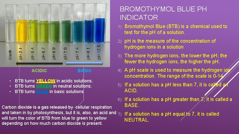 BROMOTHYMOL BLUE PH INDICATOR ACIDIC BASIC • BTB turns YELLOW in acidic solutions. •
