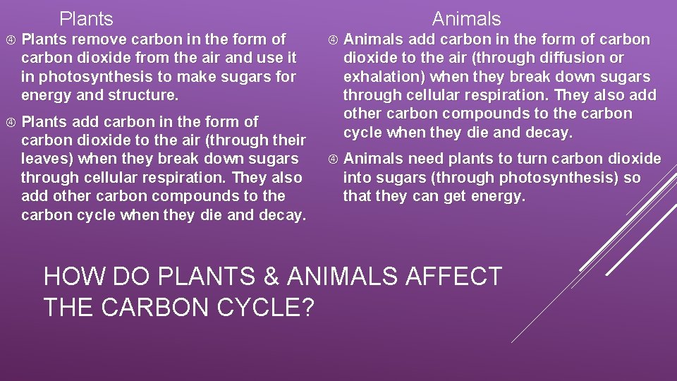 Plants remove carbon in the form of carbon dioxide from the air and use
