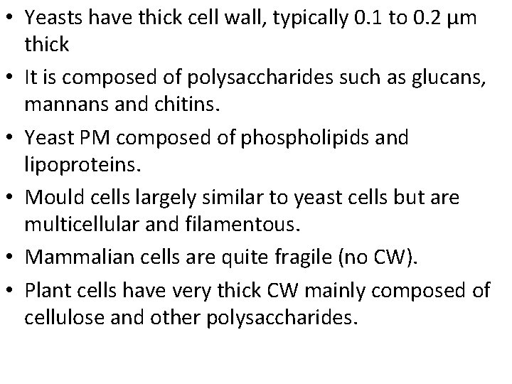  • Yeasts have thick cell wall, typically 0. 1 to 0. 2 μm