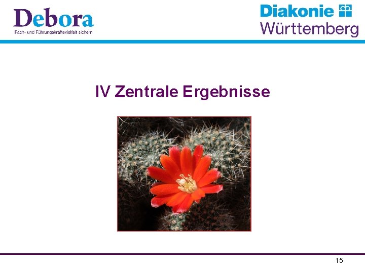 IV Zentrale Ergebnisse 15 