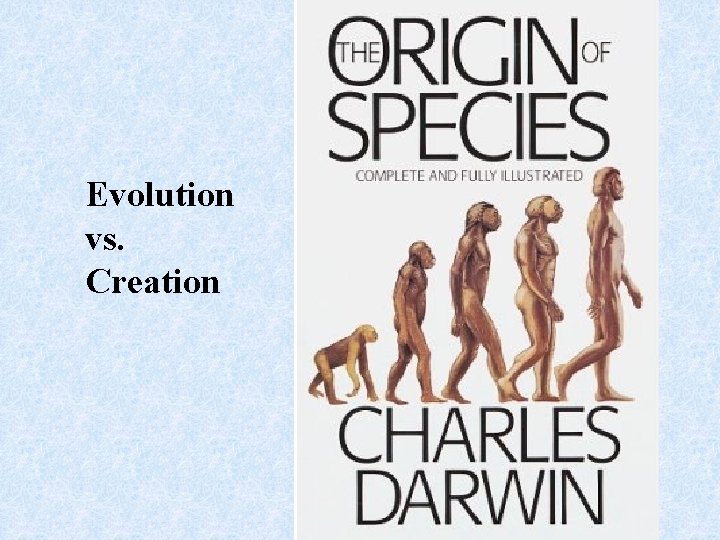 Evolution vs. Creation 
