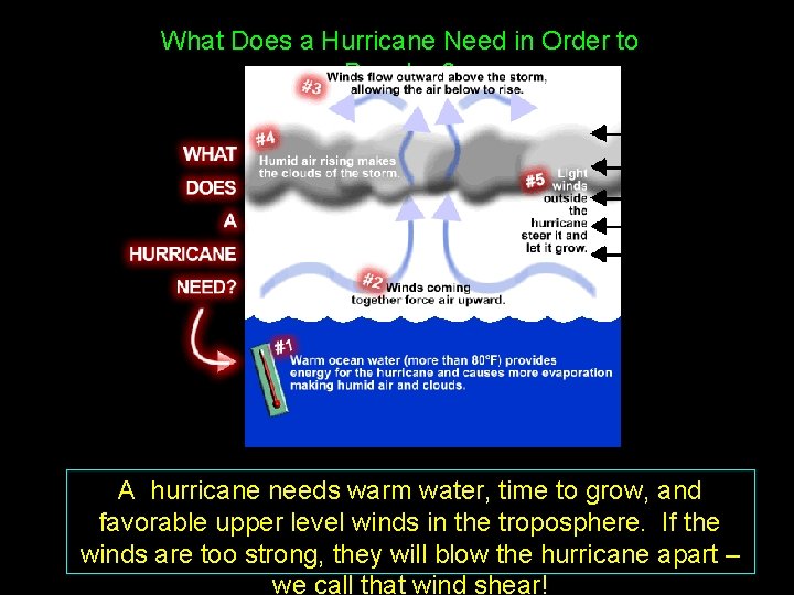 What Does a Hurricane Need in Order to Develop? A hurricane needs warm water,