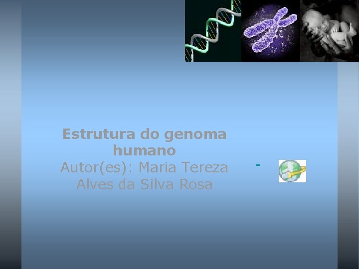 Estrutura do genoma humano Autor(es): Maria Tereza Alves da Silva Rosa 