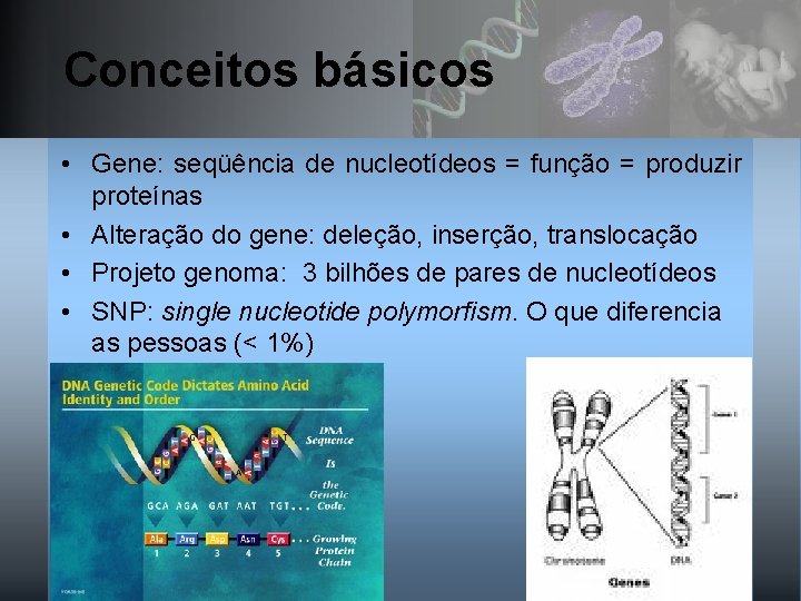 Conceitos básicos • Gene: seqüência de nucleotídeos = função = produzir proteínas • Alteração