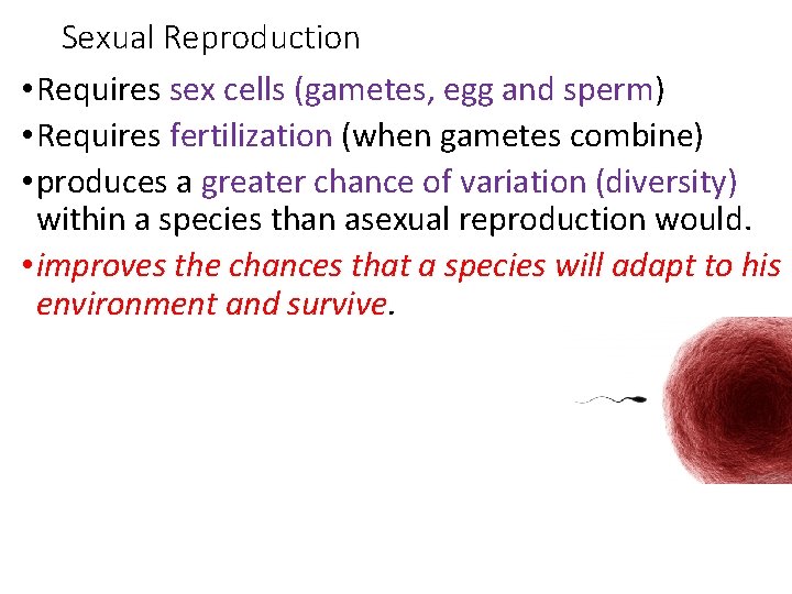 Sexual Reproduction • Requires sex cells (gametes, egg and sperm) • Requires fertilization (when