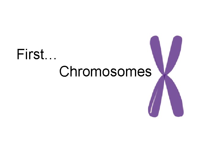 First… Chromosomes 