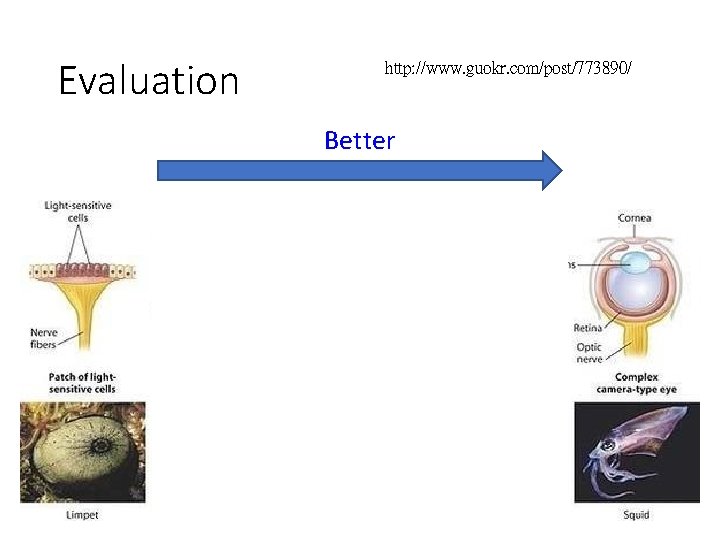 Evaluation http: //www. guokr. com/post/773890/ Better 