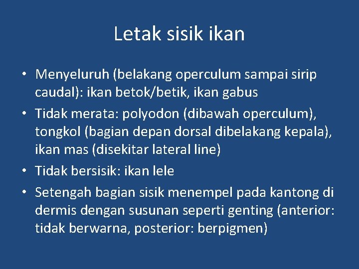Letak sisik ikan • Menyeluruh (belakang operculum sampai sirip caudal): ikan betok/betik, ikan gabus