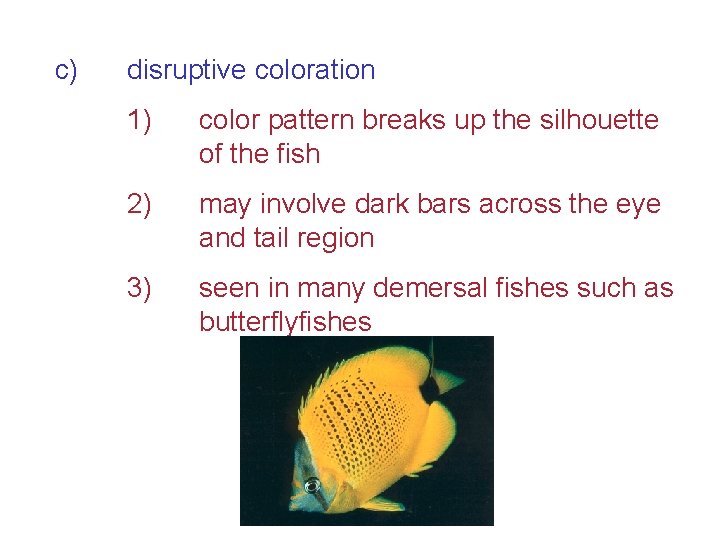 c) disruptive coloration 1) color pattern breaks up the silhouette of the fish 2)