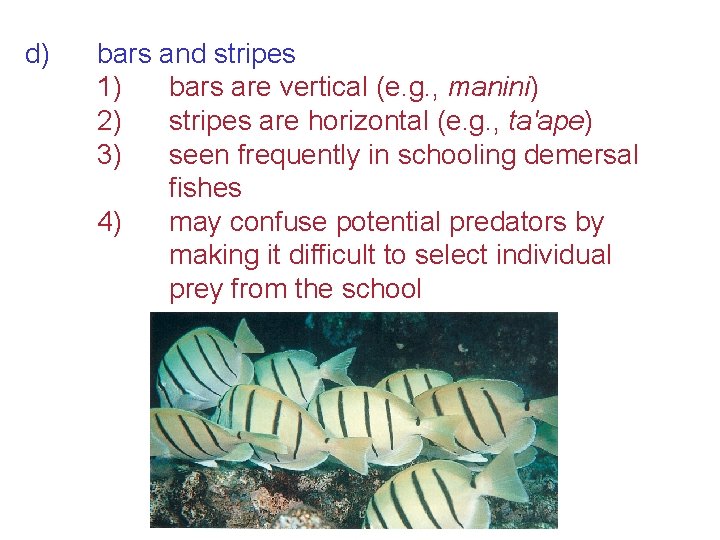 d) bars and stripes 1) bars are vertical (e. g. , manini) 2) stripes