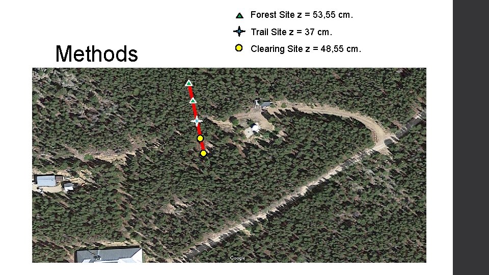 Forest Site z = 53, 55 cm. Trail Site z = 37 cm. Methods Forest Site z = 53, 55 cm. Trail Site z = 37 cm. Methods