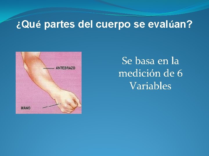 ¿Qué partes del cuerpo se evalúan? Se basa en la medición de 6 Variables