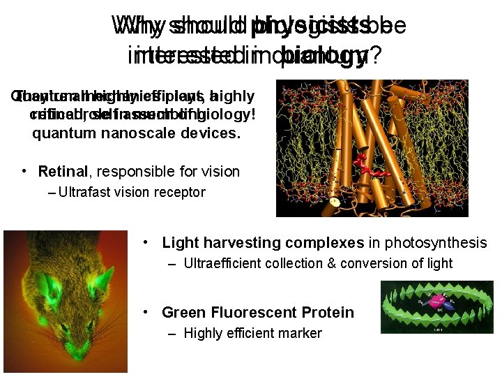 Why should physicists biologists be be interestedininquantum? biology? Quantum They’re allmechanics highly efficient, plays