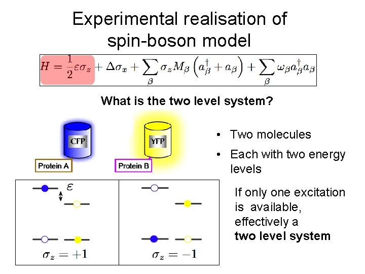 Experimental realisation of spin-boson model What is the two level system? • Two molecules