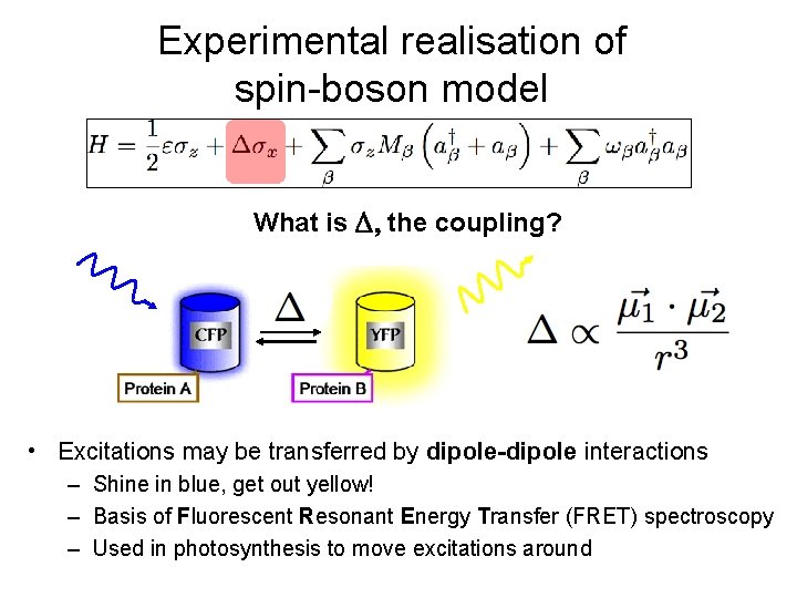 Experimental realisation of spin-boson model What is the coupling? • Excitations may be transferred