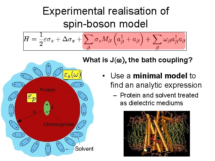 Experimental realisation of spin-boson model What is J( the bath coupling? • Use a