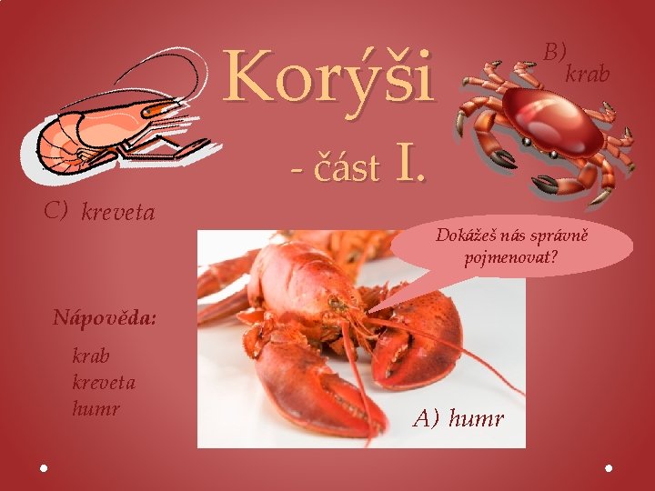 Korýši C) kreveta - část I. Dokážeš nás správně pojmenovat? Nápověda: krab kreveta humr