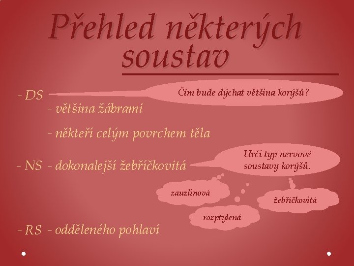 Přehled některých soustav - DS - většina žábrami Čím bude dýchat většina korýšů? -