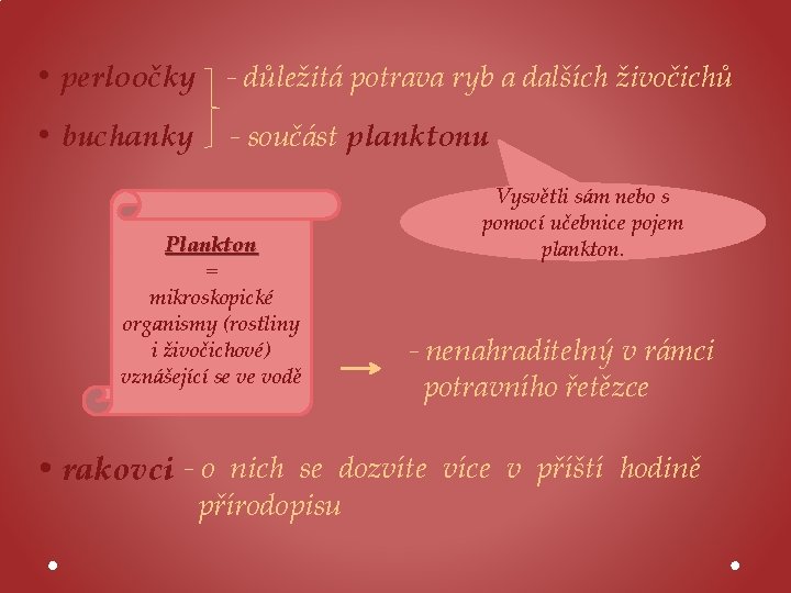  • perloočky - důležitá potrava ryb a dalších živočichů • buchanky - součást