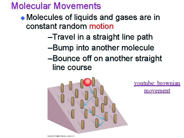 Molecular Movements u Molecules of liquids and gases are in constant random motion –Travel
