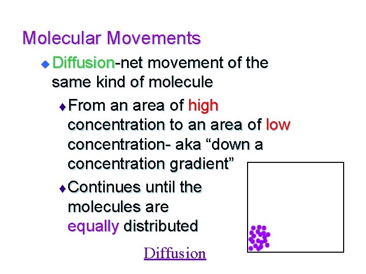 Molecular Movements u Diffusion-net movement of the same kind of molecule t From an