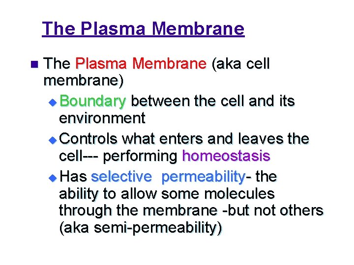 The Plasma Membrane n The Plasma Membrane (aka cell membrane) u Boundary between the