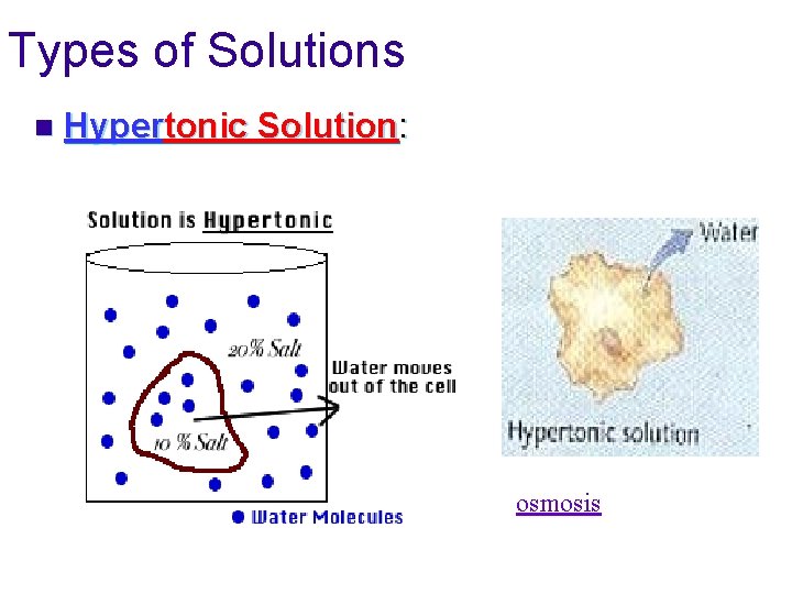 Types of Solutions n Hypertonic Solution: osmosis 