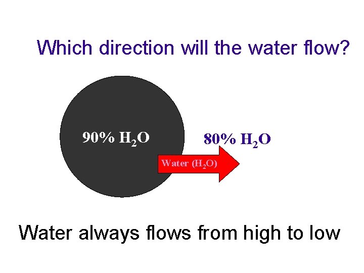 Which direction will the water flow? 90% H 2 O 80% H 2 O