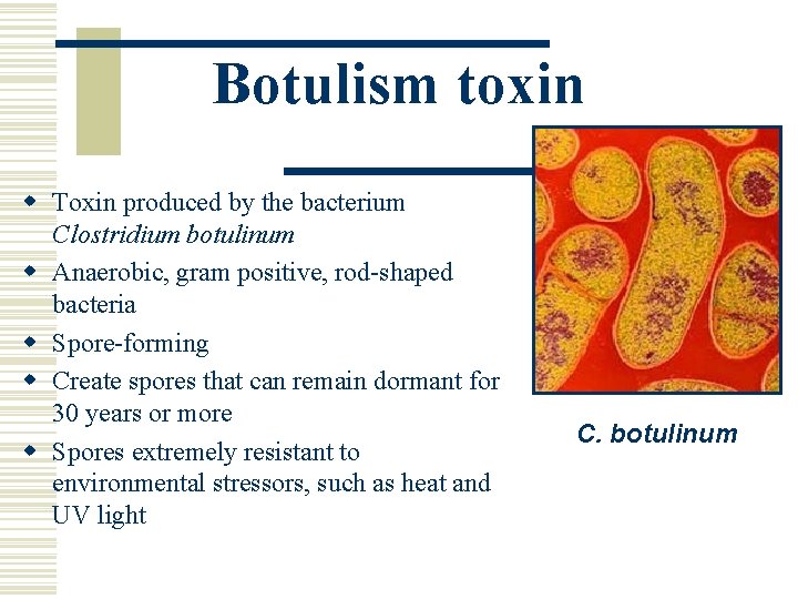 Botulism toxin w Toxin produced by the bacterium Clostridium botulinum w Anaerobic, gram positive,